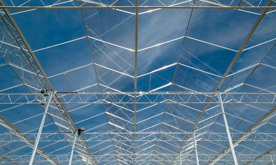 الدفيئة الزجاجية الشفافة مع أنابيب الزنك المصفوفة بالألومنيوم