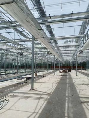 دفيئة زجاجية مستطيلة حديثة مع متانة وحماية UV